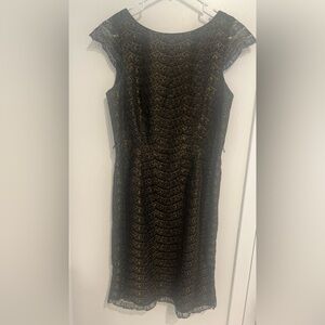 Calvin Klein Elegant Black and Gold Midi Dress